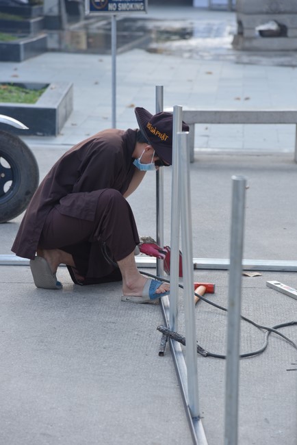 Preparation Activities to Welcome Year of Cat