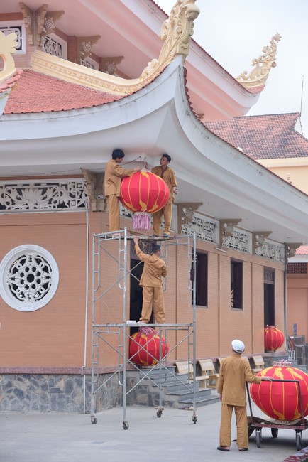 Preparation Activities to Welcome Year of Cat