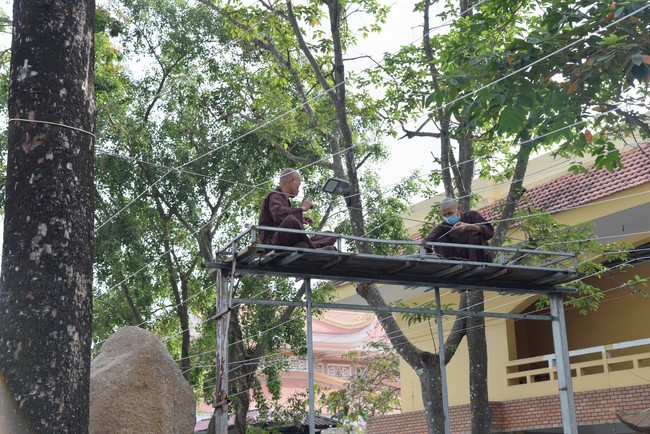 Preparation Activities to Welcome Year of Cat