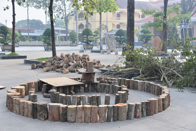 Preparation Activities to Welcome Year of Cat