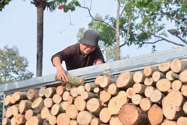 Preparation Activities to Welcome Year of Cat
