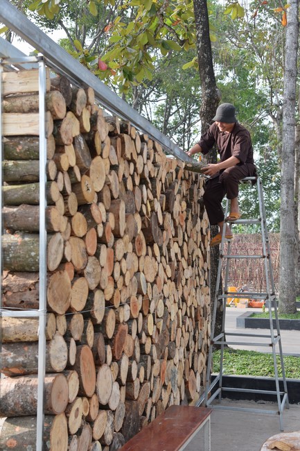 Preparation Activities to Welcome Year of Cat