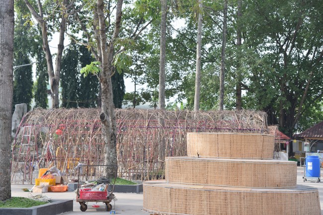 Preparation Activities to Welcome Year of Cat