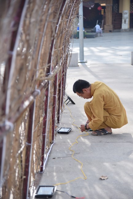 Preparation Activities to Welcome Year of Cat