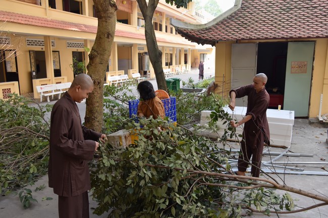 Preparation Activities to Welcome Year of Cat