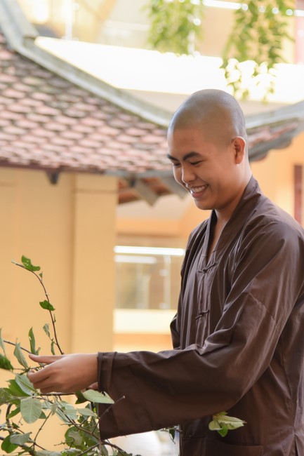 Preparation Activities to Welcome Year of Cat