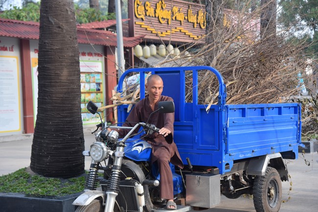 Preparation Activities to Welcome Year of Cat