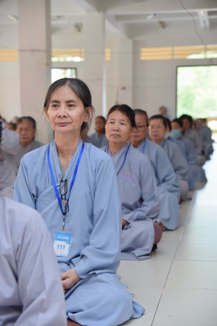 Dharma talk Looking back at the Vietnamese Buddha recitation Sect over the years  in The 98 th Seven-day Retreat