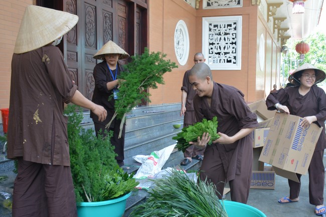 Affairs preparing for Lantern Candle Lighting Ceremony to commemorate Amitabha Buddha (Last part)