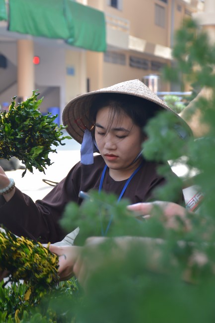 Affairs preparing for Lantern Candle Lighting Ceremony to commemorate Amitabha Buddha (Last part)