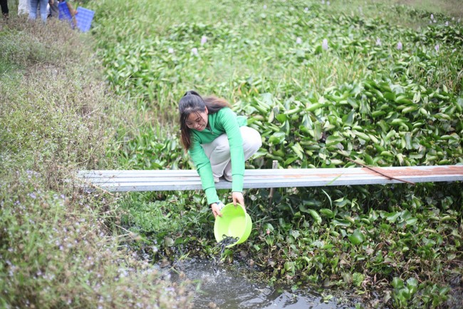 Peace Praying Ceremony at the Huong Phap Branch of Hoang Phap Pagoda in Cu Chi District
