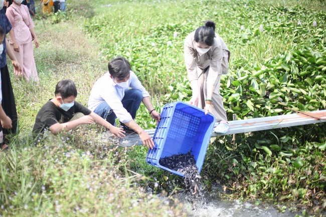 Peace Praying Ceremony at the Huong Phap Branch of Hoang Phap Pagoda in Cu Chi District