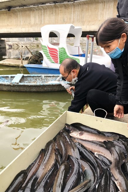 Ngày Rằm tháng Giêng lan toả yêu thương tại chùa Đống Cao, Thanh Hóa