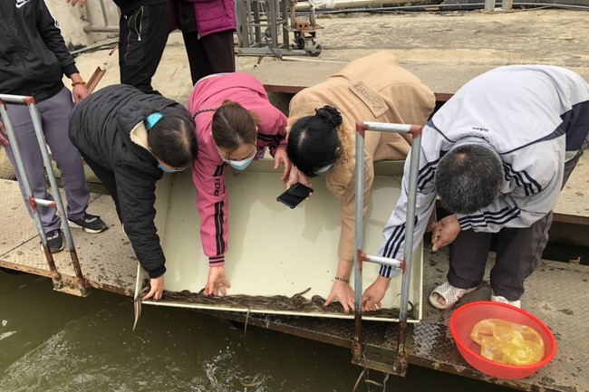 Ngày Rằm tháng Giêng lan toả yêu thương tại chùa Đống Cao, Thanh Hóa