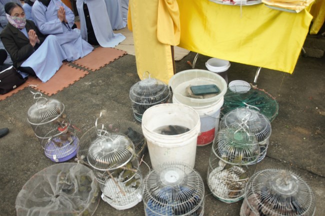 Lễ cầu an đầu năm tại chùa Càn Môn - Nghệ An