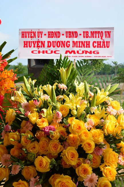 The ceremony setting up the signboard of Quang Phap pagoda - Tay Ninh