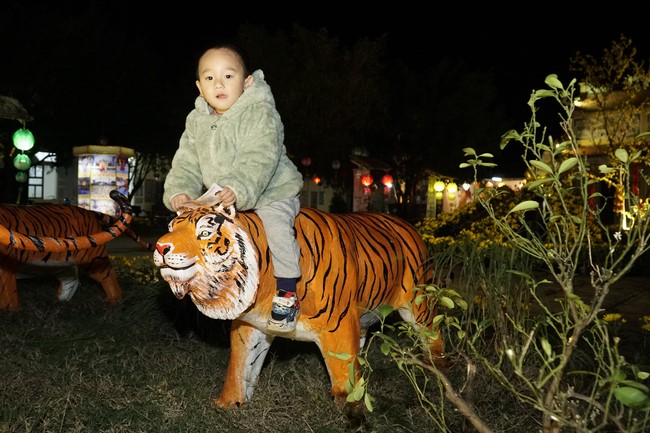 Welcoming the New Year's Eve at Dong Cao Pagoda - Thanh Hoa