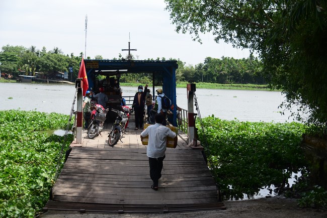 Bàn giao rùa Răng tại trạm Bảo tồn động vật hoang dã Dầu Tiếng- Bình Dương