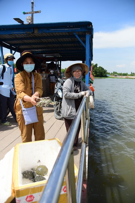 Bàn giao rùa Răng tại trạm Bảo tồn động vật hoang dã Dầu Tiếng- Bình Dương