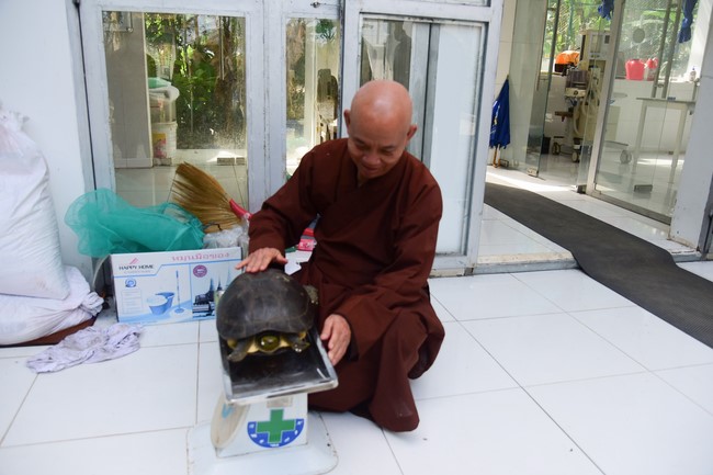 Bàn giao rùa Răng tại trạm Bảo tồn động vật hoang dã Dầu Tiếng- Bình Dương