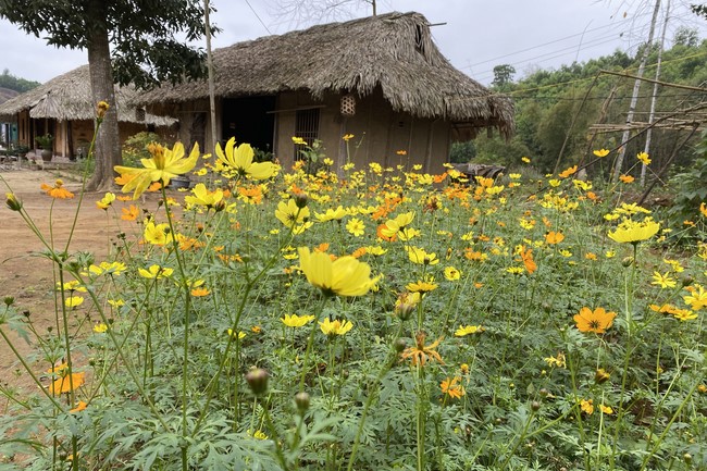 Series of photos on the 2nd day of Lunar New Year at Dai Co Viet Pagoda