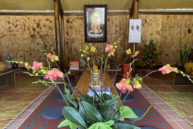 Series of photos on the 2nd day of Lunar New Year at Dai Co Viet Pagoda