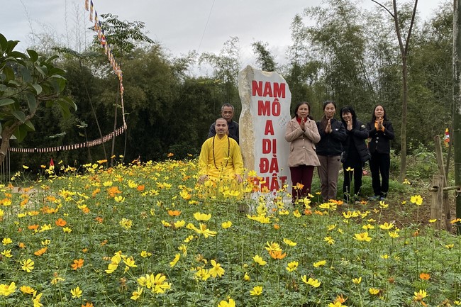 Series of photos on the 2nd day of Lunar New Year at Dai Co Viet Pagoda