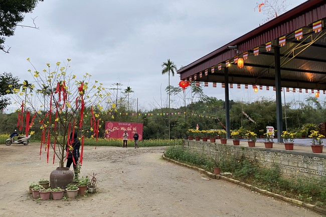 Series of photos on the 2nd day of Lunar New Year at Dai Co Viet Pagoda