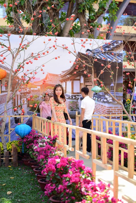 Chùm ảnh mồng hai Tết Nhâm Dần