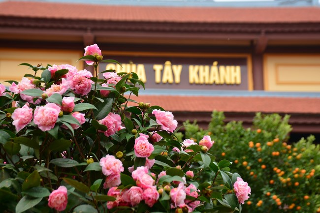 Welcome New Year's Eve at Tay Khanh pagoda