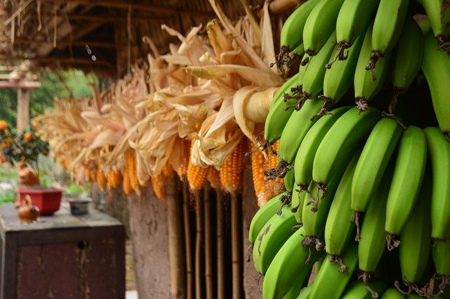 Welcome New Year's Eve at Tay Khanh pagoda