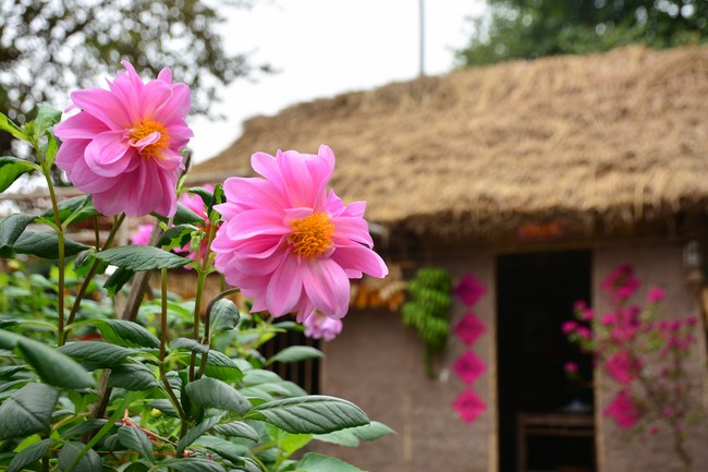 Welcome New Year's Eve at Tay Khanh pagoda