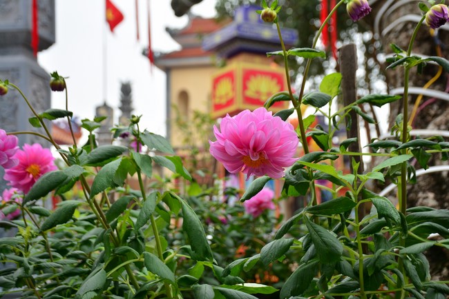Welcome New Year's Eve at Tay Khanh pagoda