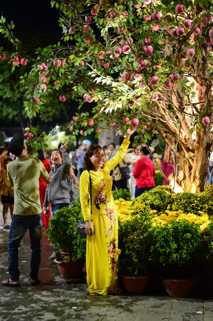 Chùm ảnh mồng bốn Tết Nhâm Dần