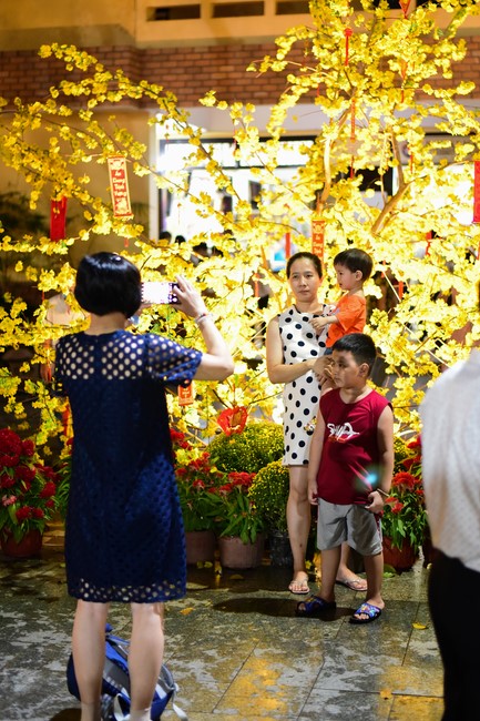 Chùm ảnh mồng bốn Tết Nhâm Dần