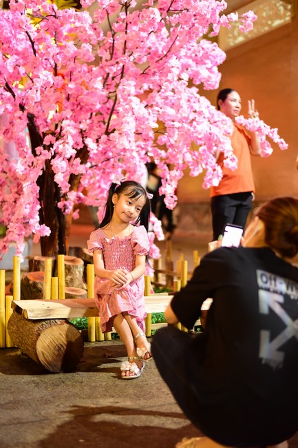 Chùm ảnh mồng bốn Tết Nhâm Dần