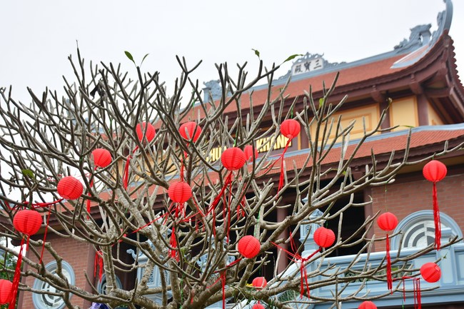 Peace praying ceremony in Tay Khanh Pagoda, Thai Binh