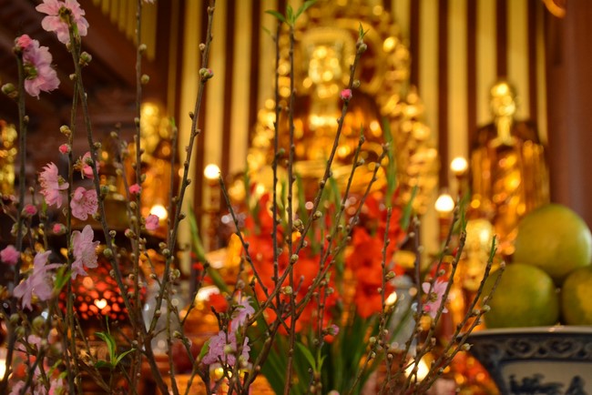 Peace praying ceremony in Tay Khanh Pagoda, Thai Binh
