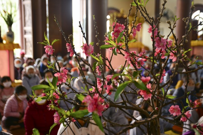 Peace praying ceremony in Tay Khanh Pagoda, Thai Binh