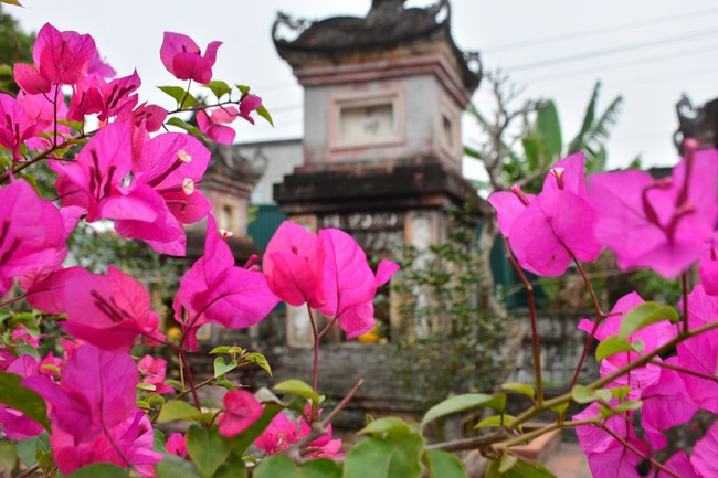 Peace praying ceremony in Tay Khanh Pagoda, Thai Binh