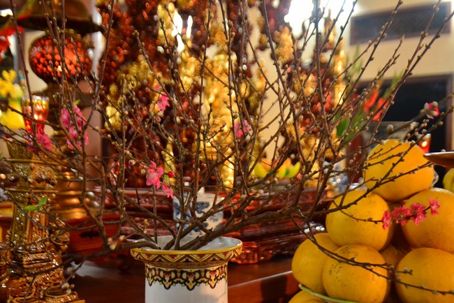 Peace praying ceremony in Tay Khanh Pagoda, Thai Binh