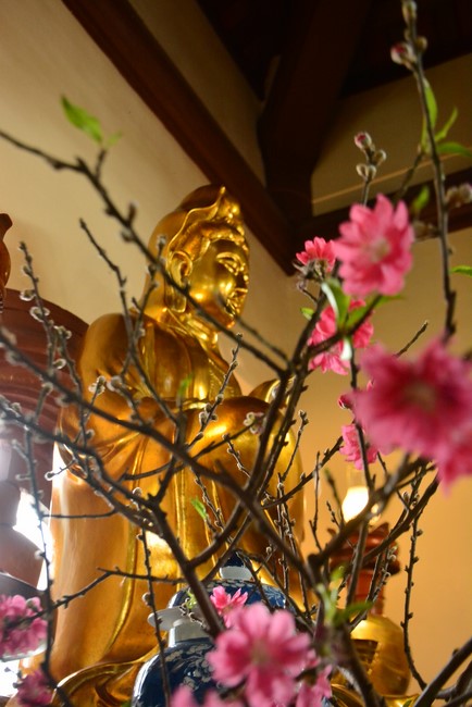 Peace praying ceremony in Tay Khanh Pagoda, Thai Binh