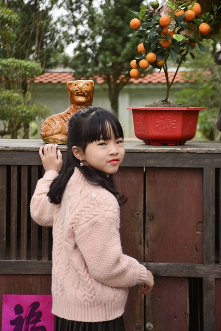 Peace praying ceremony in Tay Khanh Pagoda, Thai Binh
