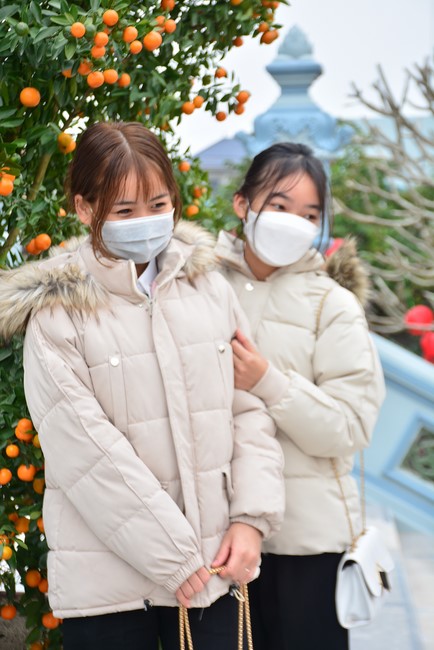 Peace praying ceremony in Tay Khanh Pagoda, Thai Binh