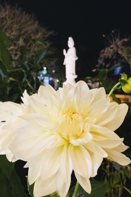 Repentant Ceremony at Dong Cao pagoda in Thanh Hoa
