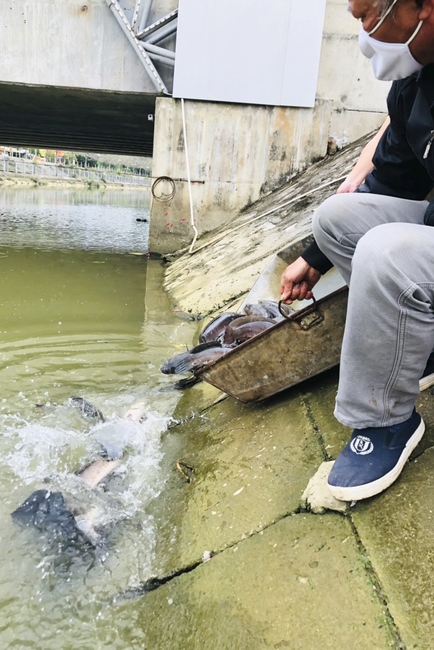 Chùa Đống Cao: Lễ kỷ niệm đức Phật niết bàn và khánh đản Bồ Tát Quán Thế Âm