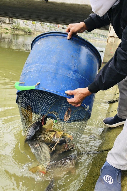 Chùa Đống Cao: Lễ kỷ niệm đức Phật niết bàn và khánh đản Bồ Tát Quán Thế Âm
