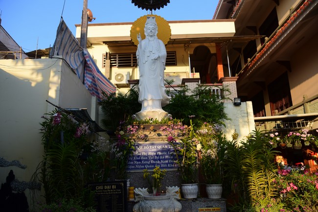 Cúng dường Tam bảo các trường Trung cấp và Cao đẳng Phật học tại miền Tây