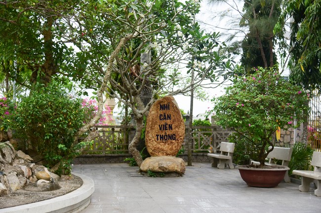 Cúng dường Tam bảo các trường Trung cấp và Cao đẳng Phật học tại miền Tây