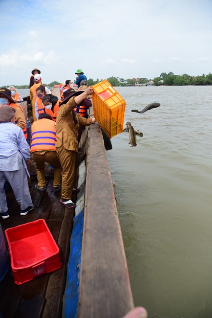 Phóng sanh tại sông Hậu Giang, Cần Thơ